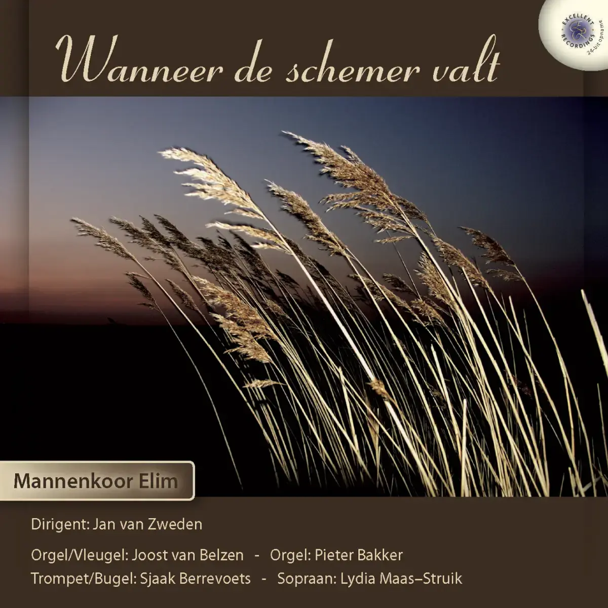 Cover van Wanneer de schemer valt