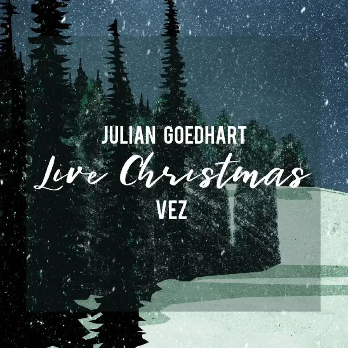 Cover van Live Christmas VEZ