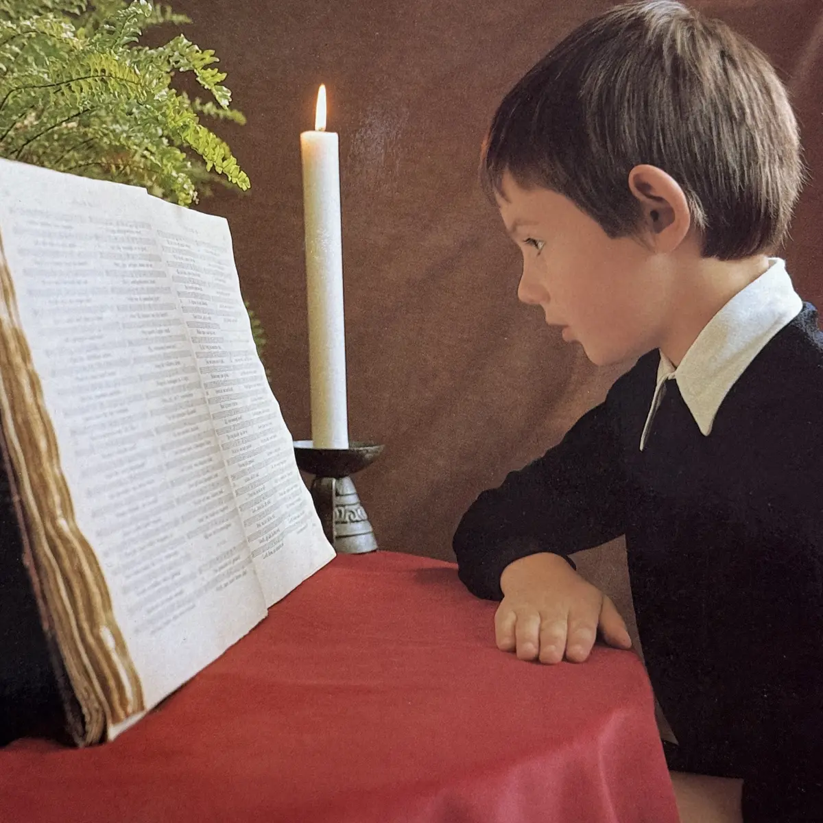 Profielfoto van Kinderkoor 'De Lenteklokjes'