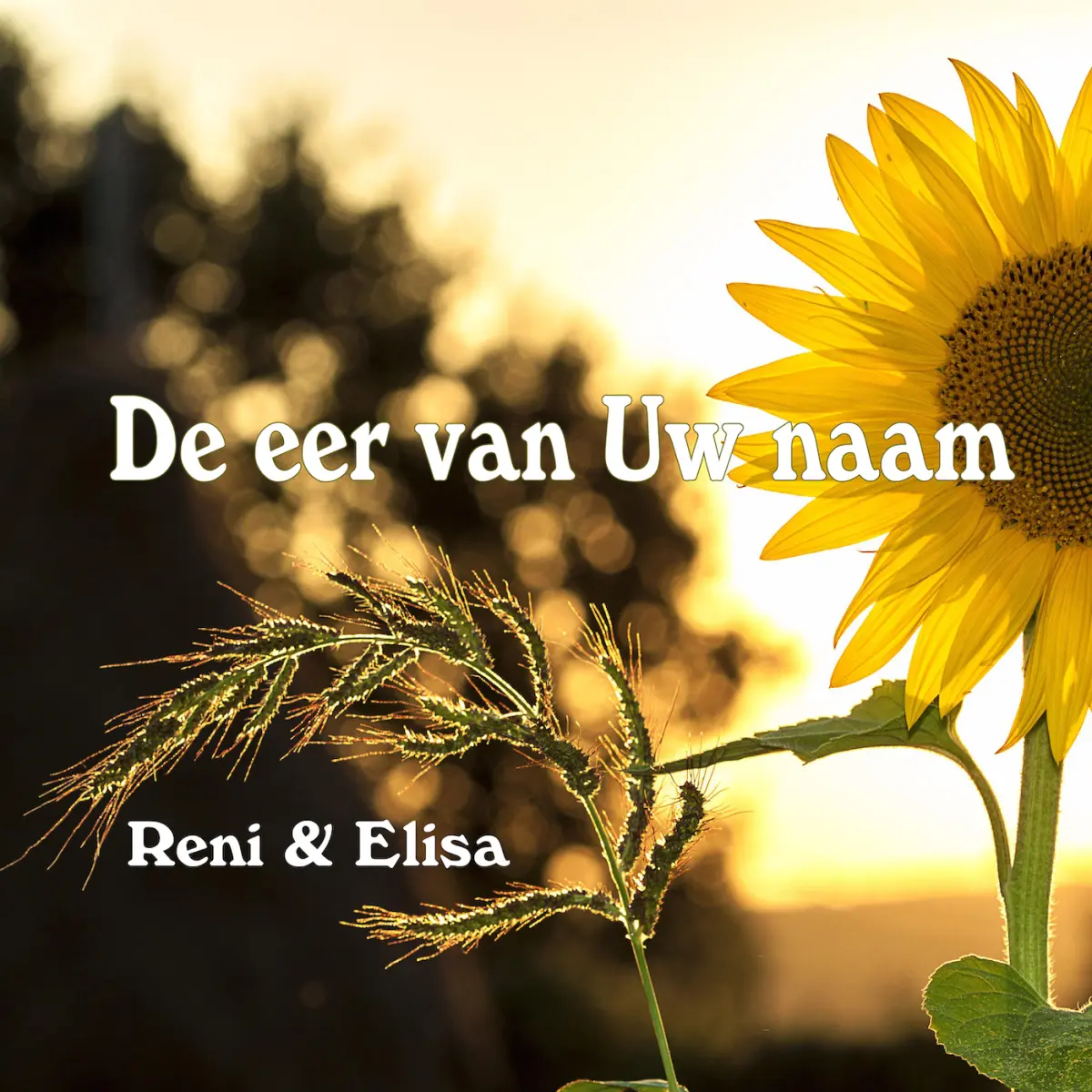 Cover van De eer van Uw naam - Single