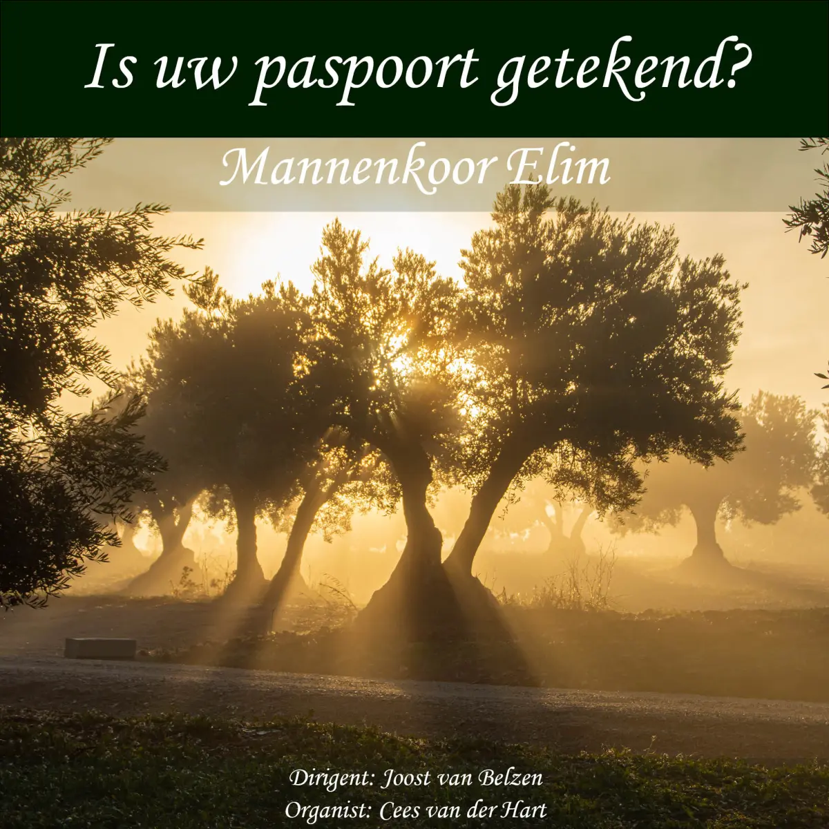 Cover van Is uw paspoort getekend - Single