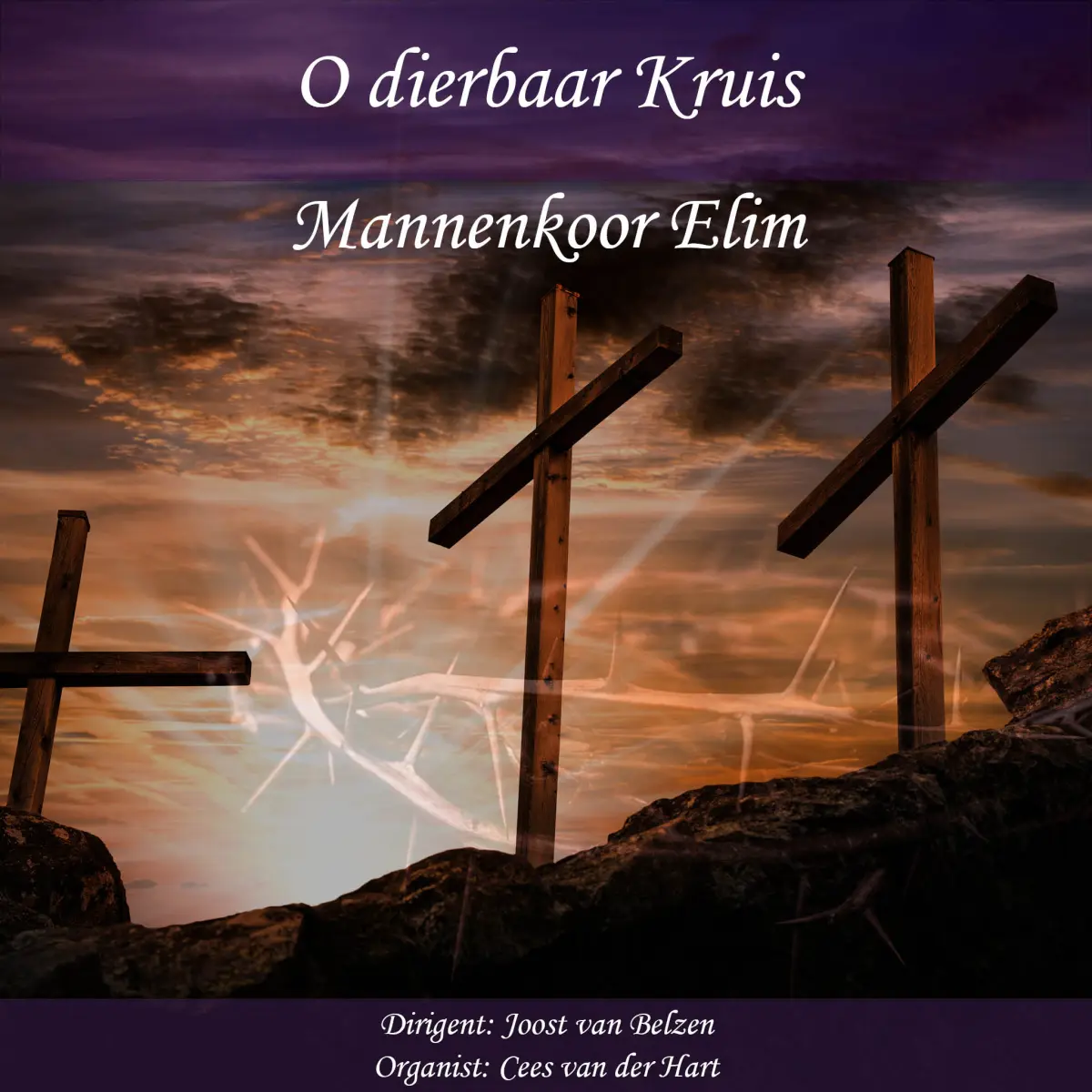 Cover van O dierbaar kruis - Single