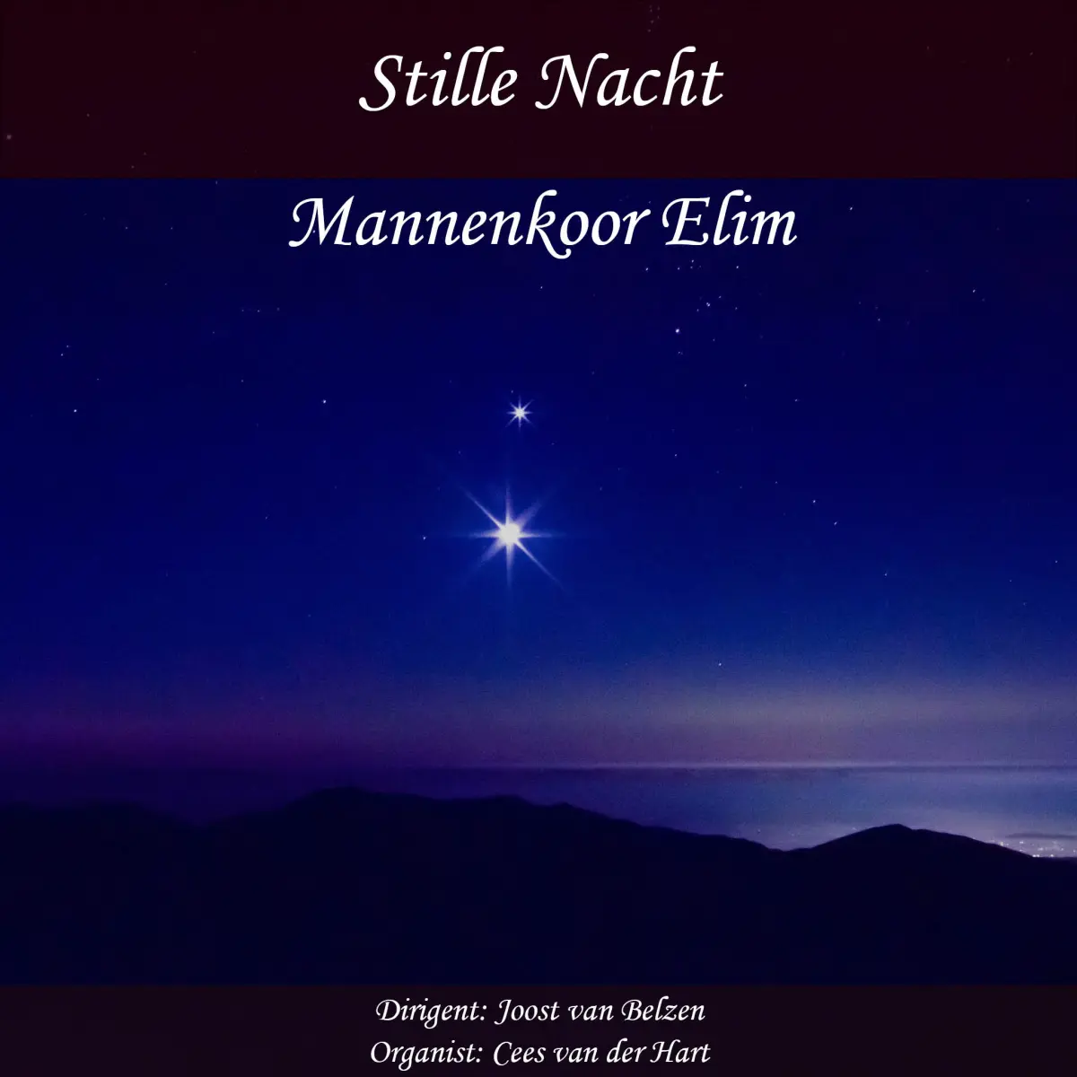 Cover van Stille nacht - Single