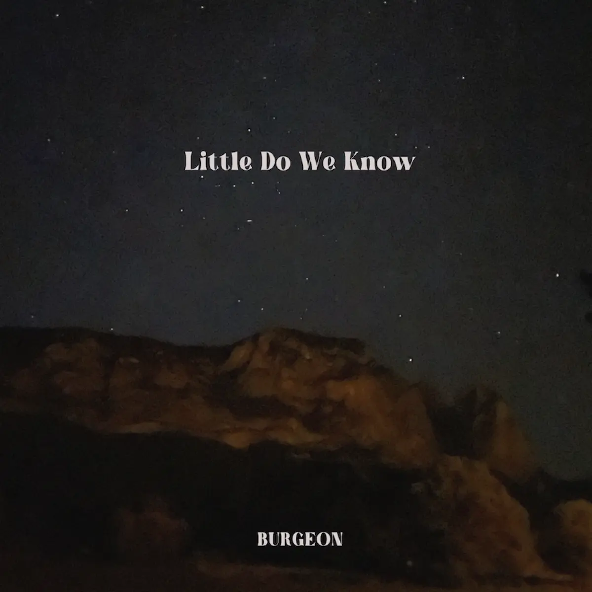 Cover van Little Do We Know - Single