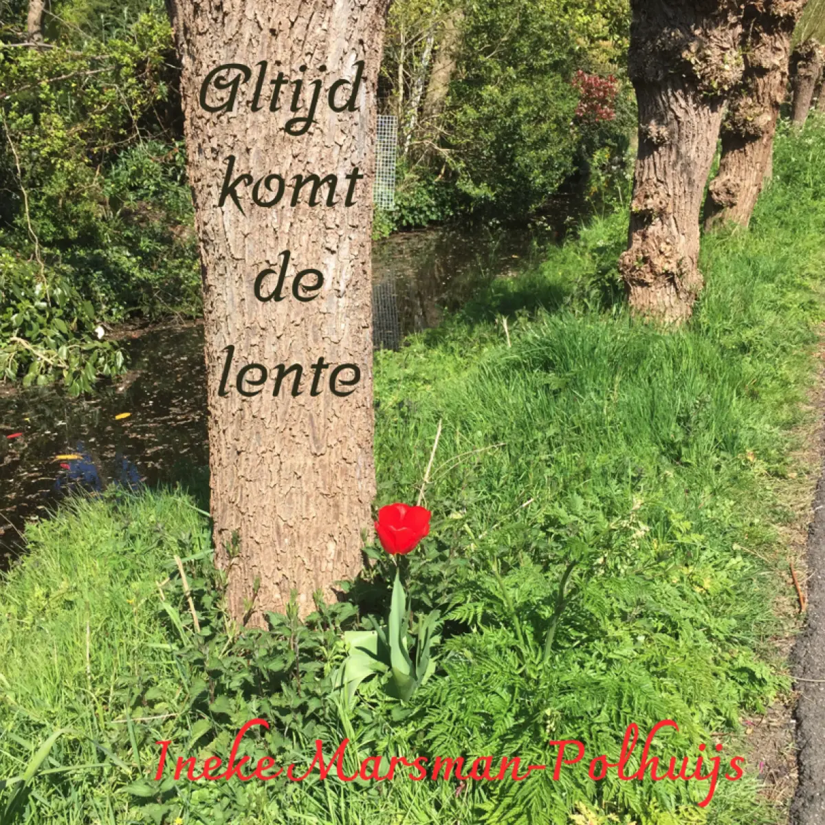 Cover van Altijd komt de lente - Single