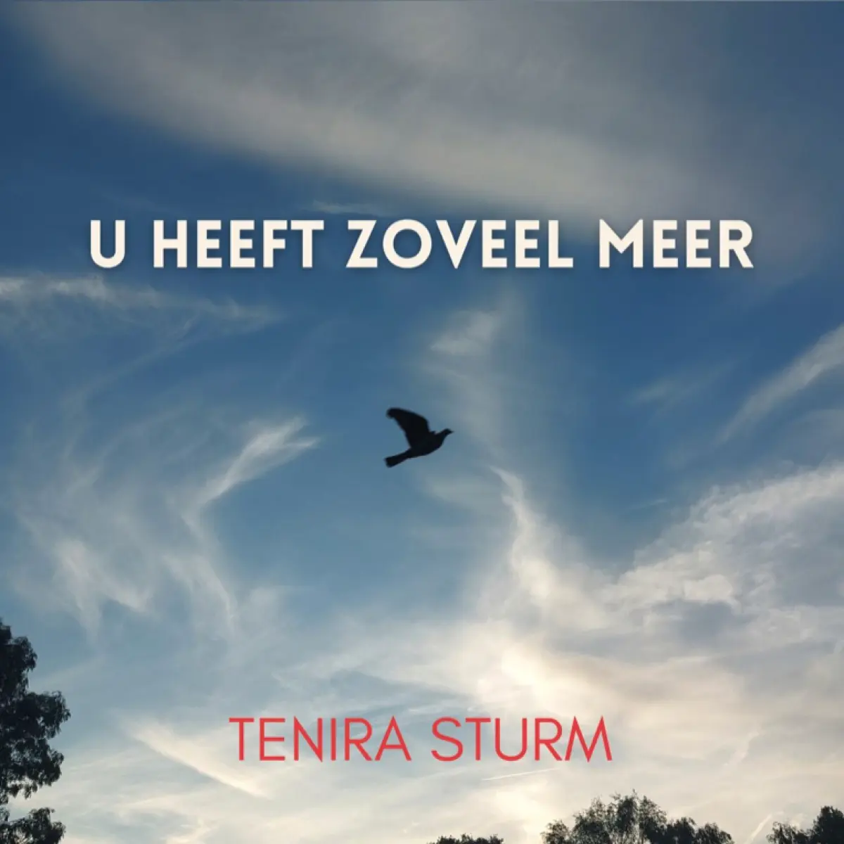 Cover van U heeft zoveel meer - Single