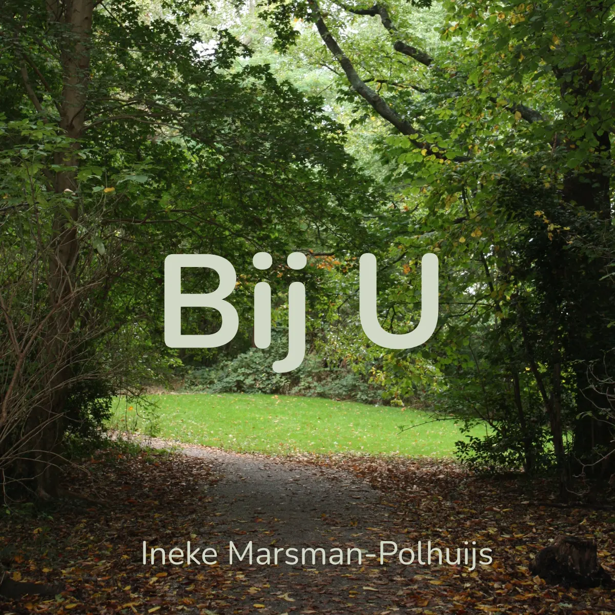 Cover van Bij U - Single