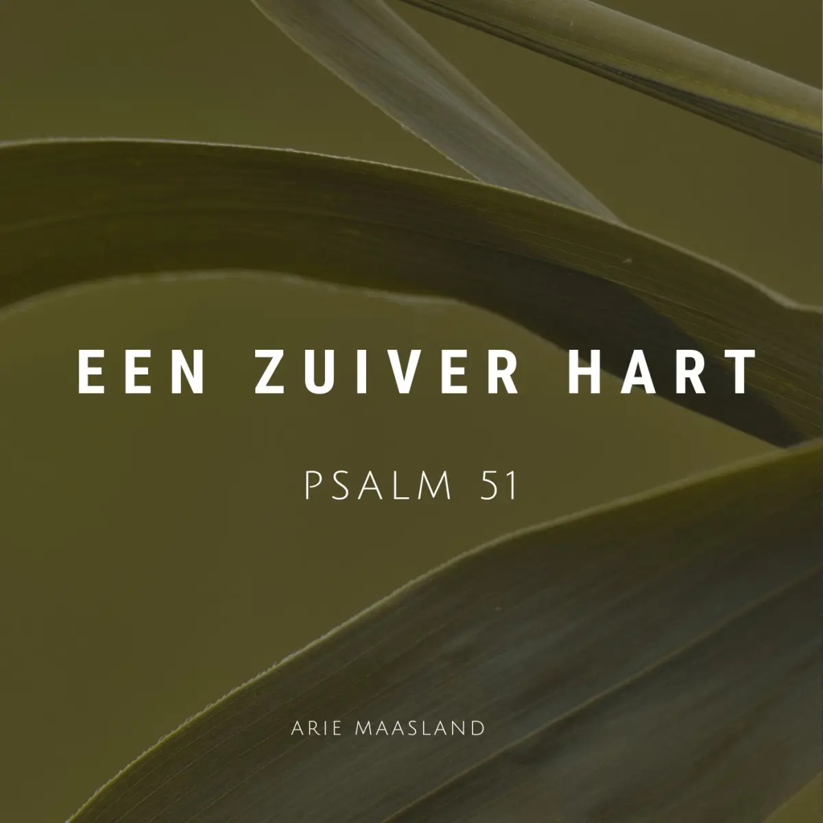 Cover van Een zuiver hart - Single