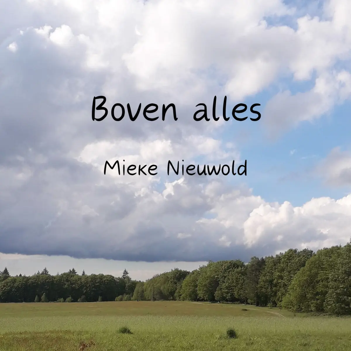 Cover van Boven alles - Single