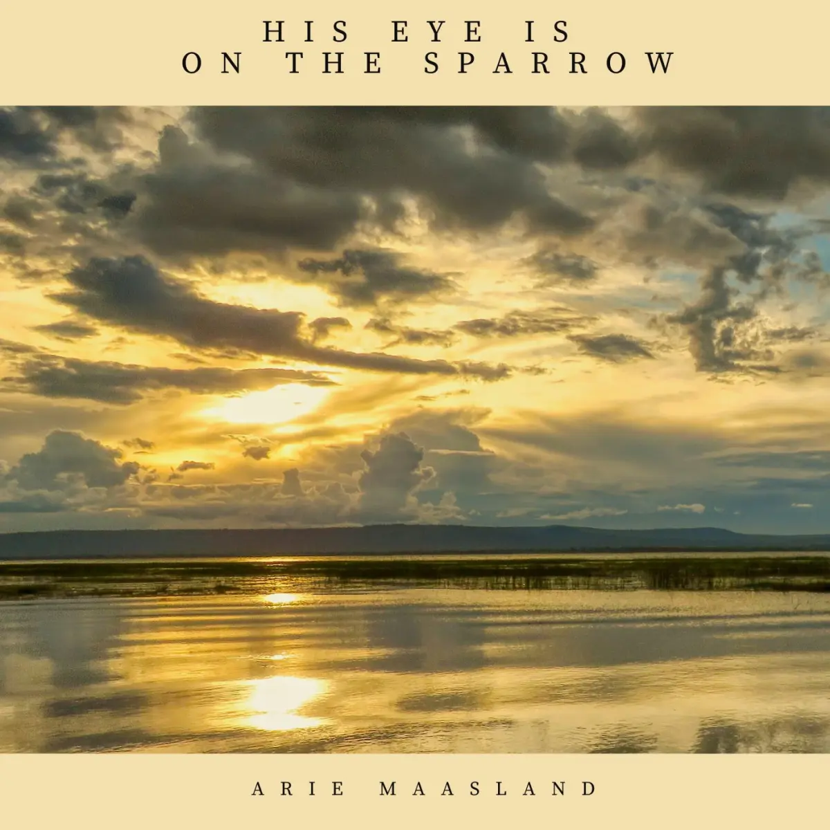 Cover van His eye is on the sparrow - Single