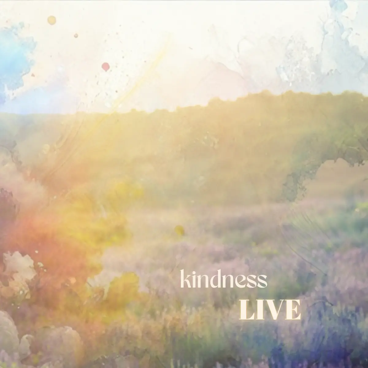 Cover van Kindness - Live - Single
