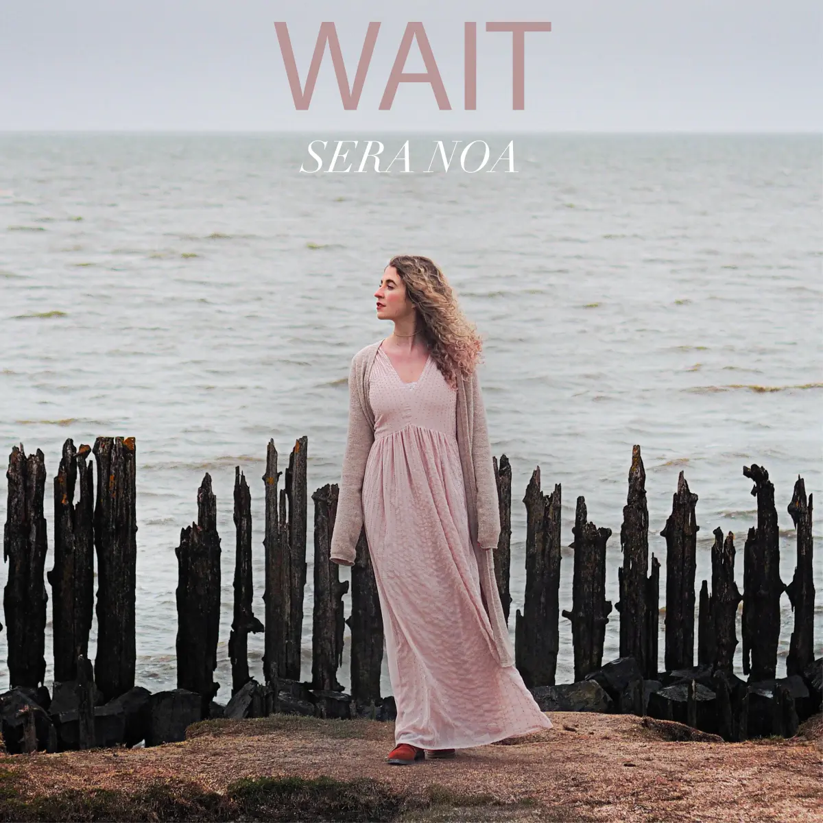 Cover van Wait - Single