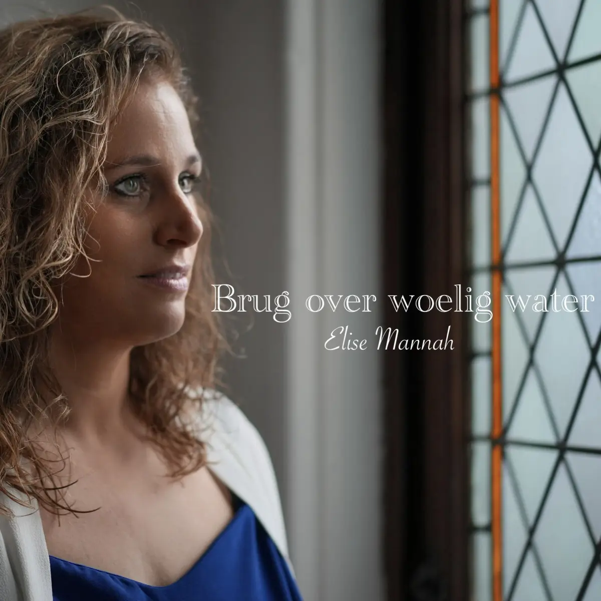 Cover van Brug over troebel water - Single