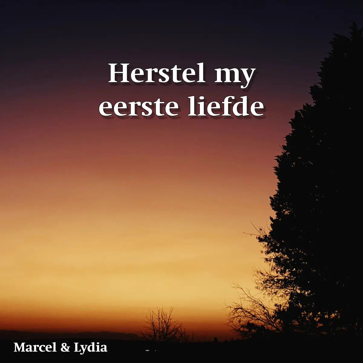 Cover van Herstel my eerste liefde - Single