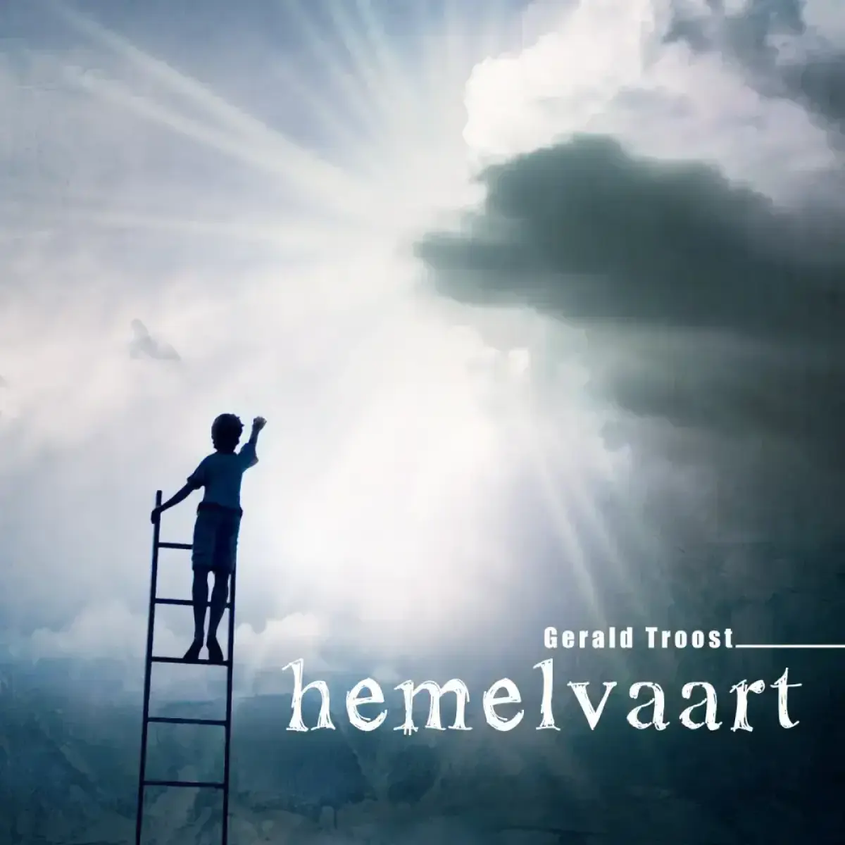 Cover van Hoogste Heer