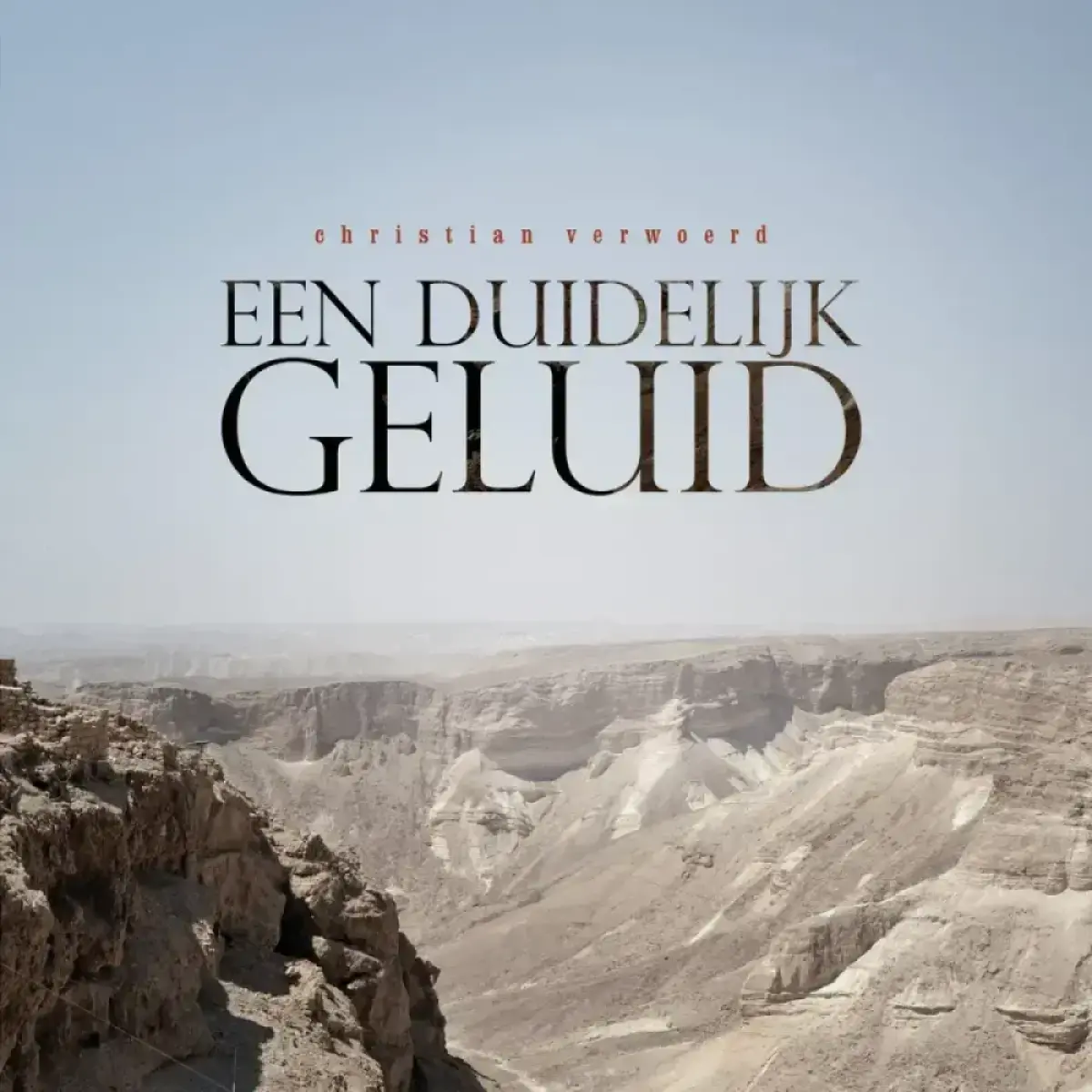 Cover van Soms denk ik aan die tijd