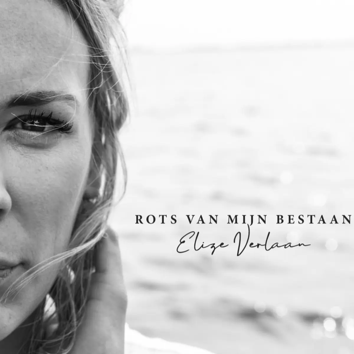 Cover van Alles wordt lichter