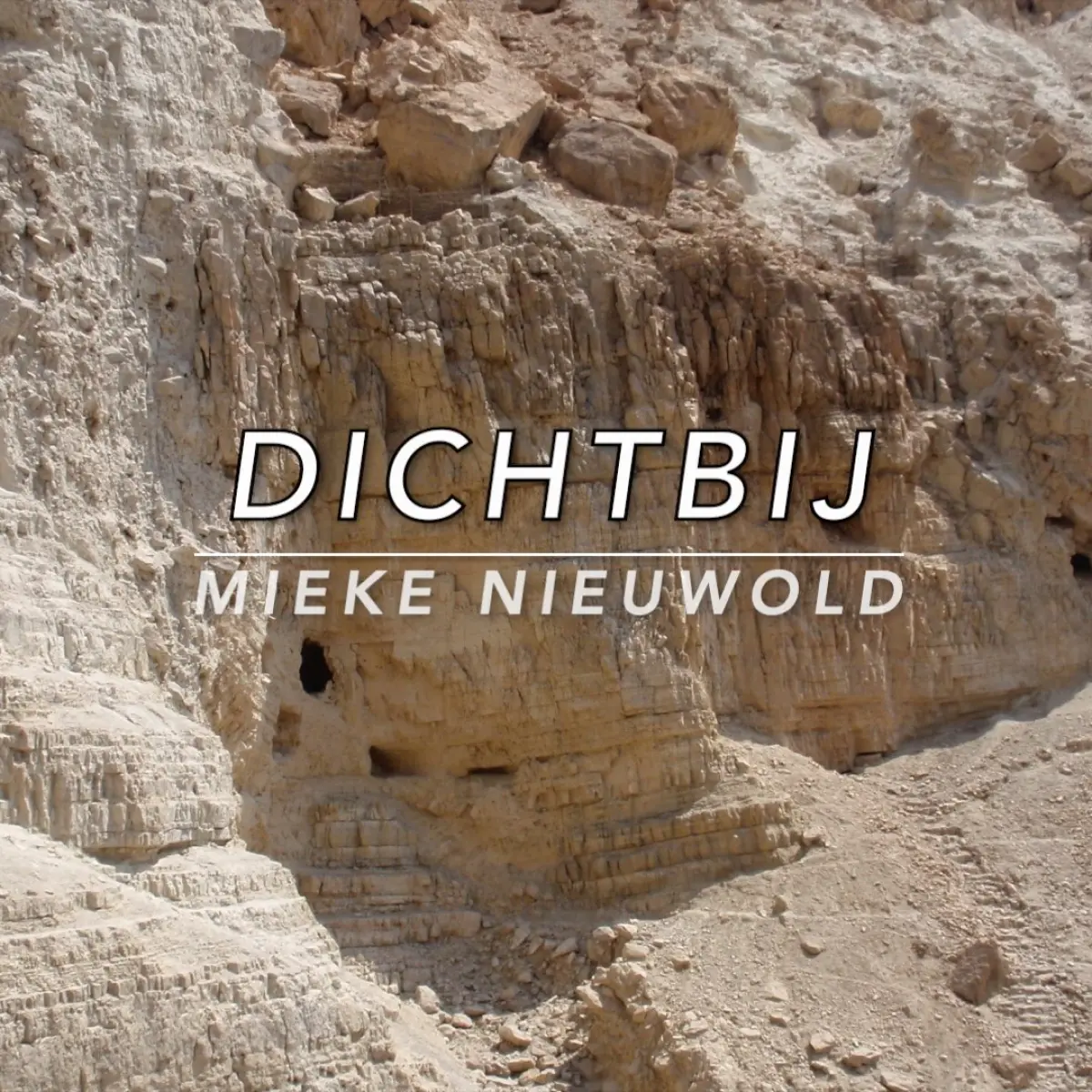 Cover van Dichtbij - Single