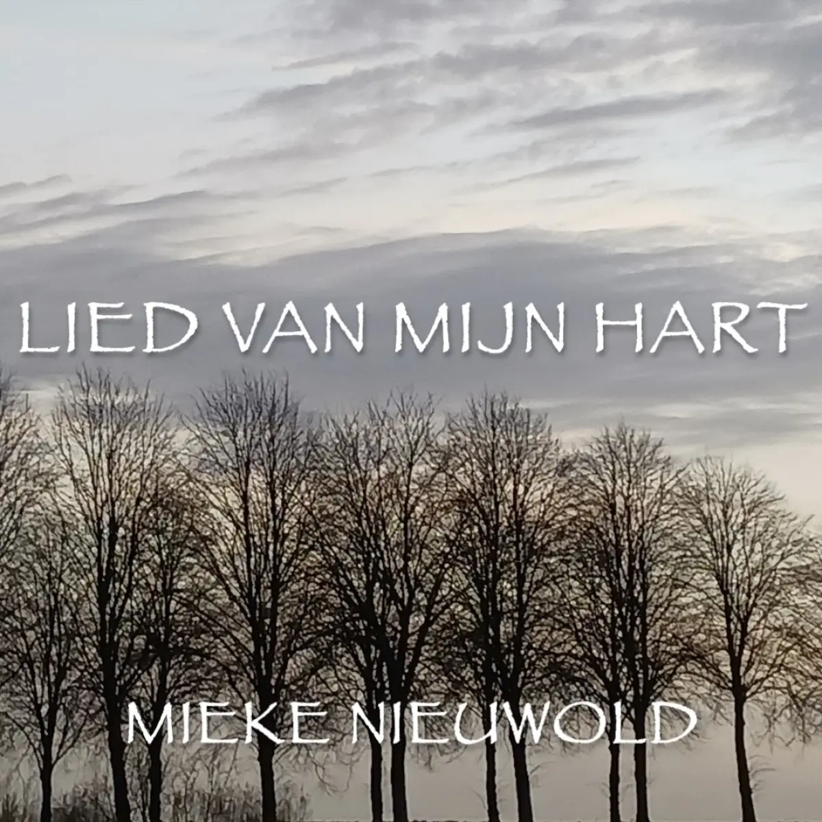 Cover van Lied van mijn hart - Single