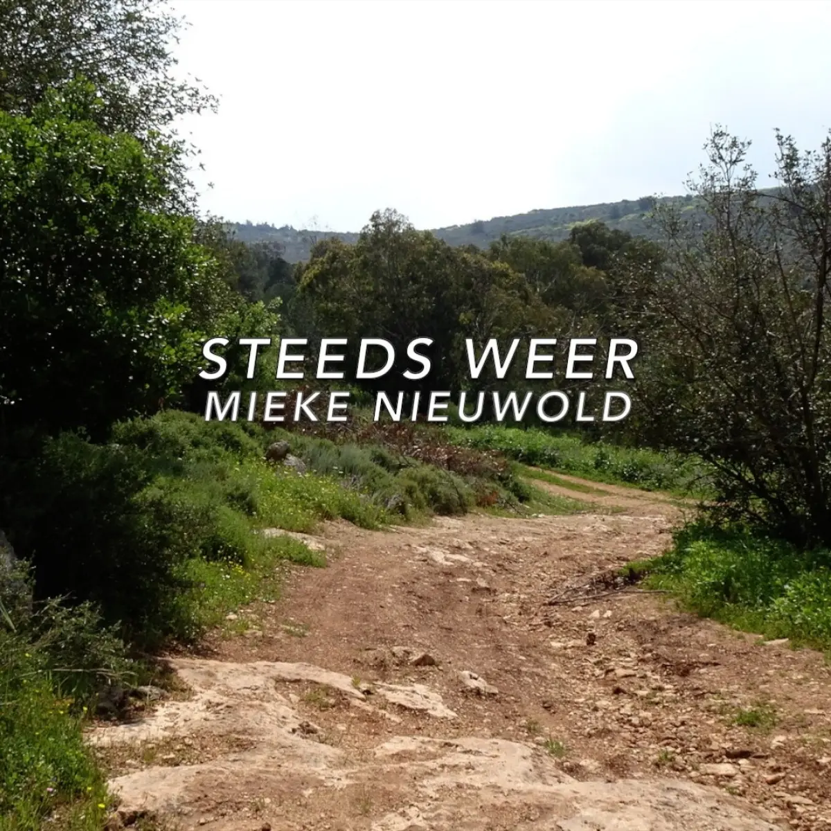 Cover van Steeds weer - Single