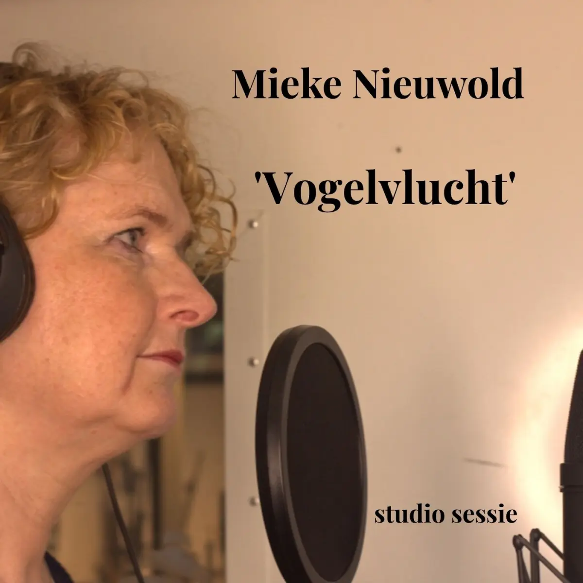 Cover van Vogelvlucht - Single
