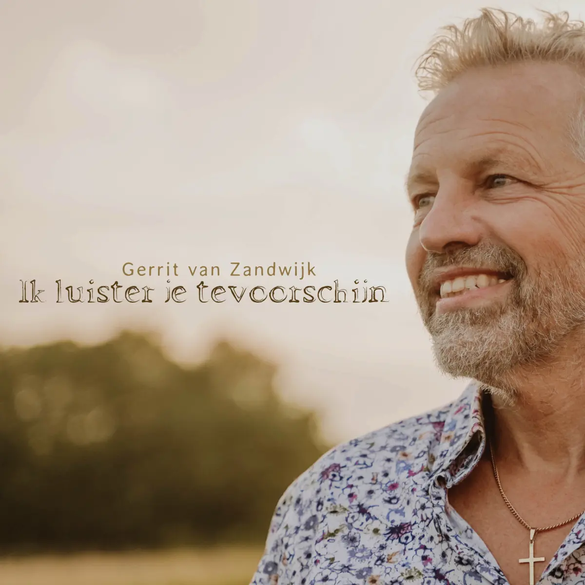 Cover van Ik wil je zo niet laten gaan