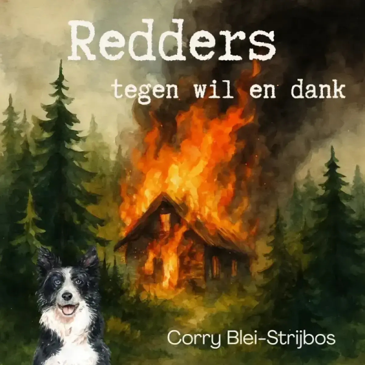 Cover van Naar huis - op een schoen en een kous