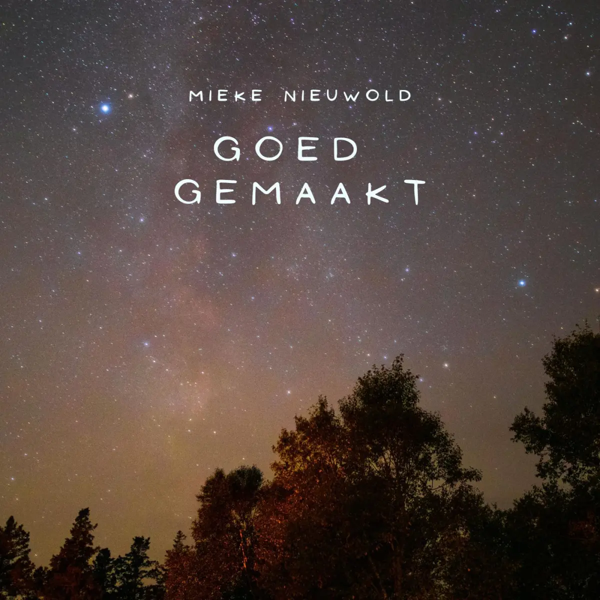 Cover van Goed gemaakt - Single