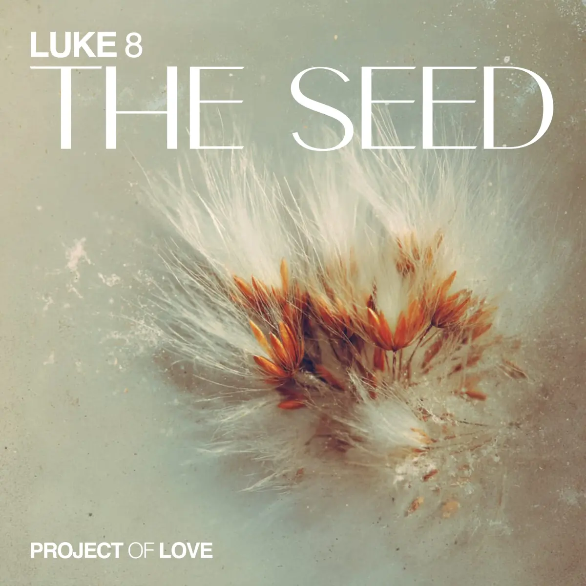 Cover van Luke 8 - The Seed
