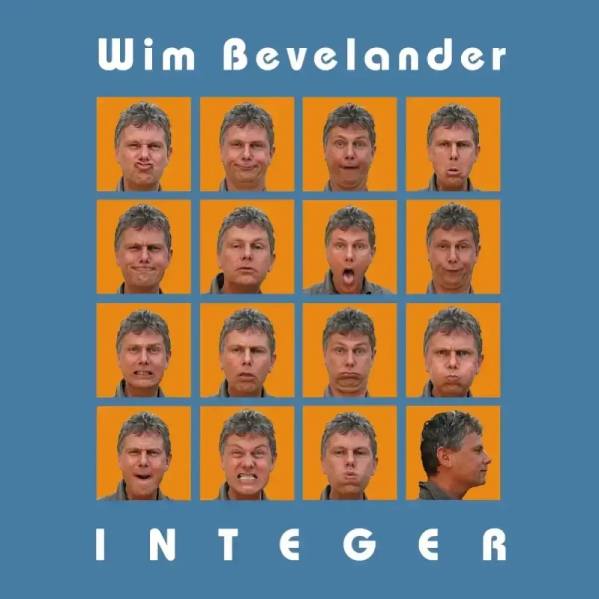 Cover van Gewonde soldaat