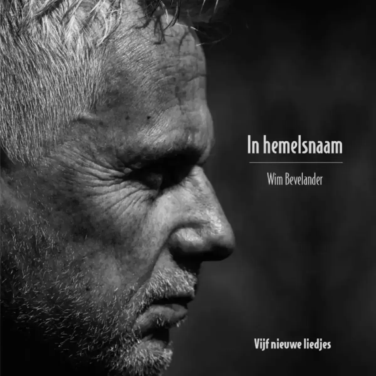 Cover van Soms praat je veel