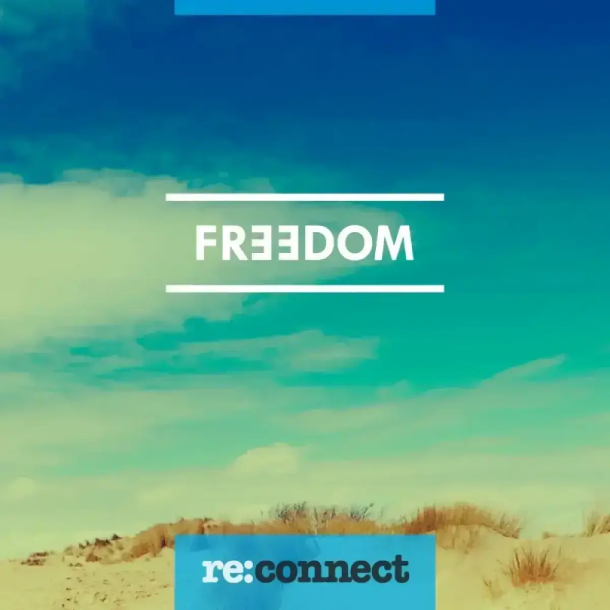 Cover van We are the free