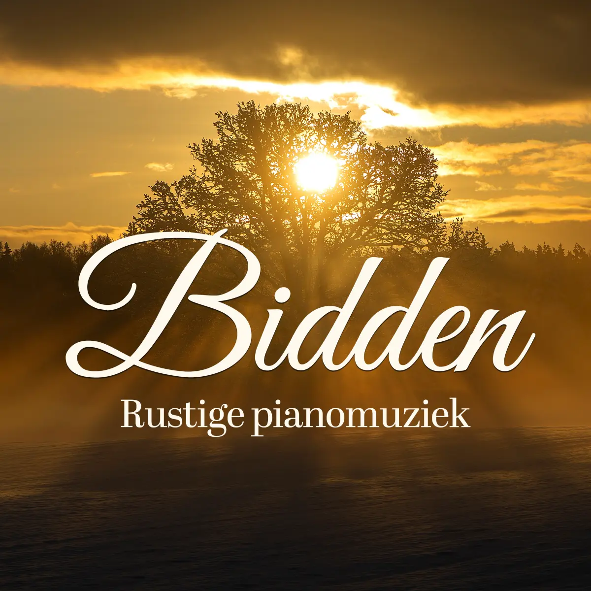 Cover van Bidden - 3