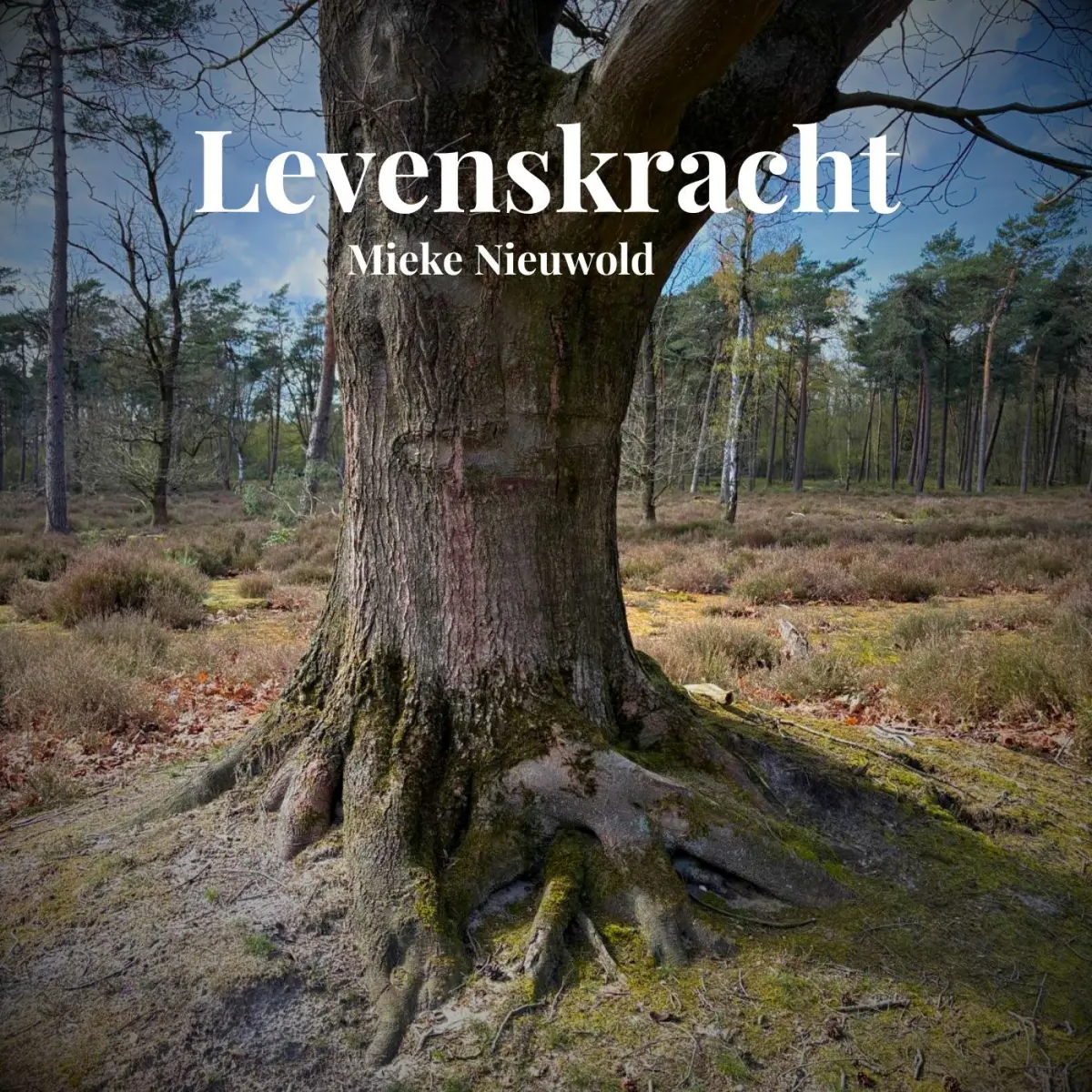 Cover van Levenskracht