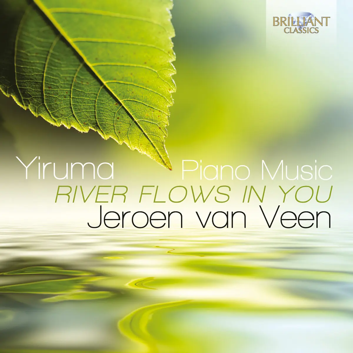 Cover van With the Wind