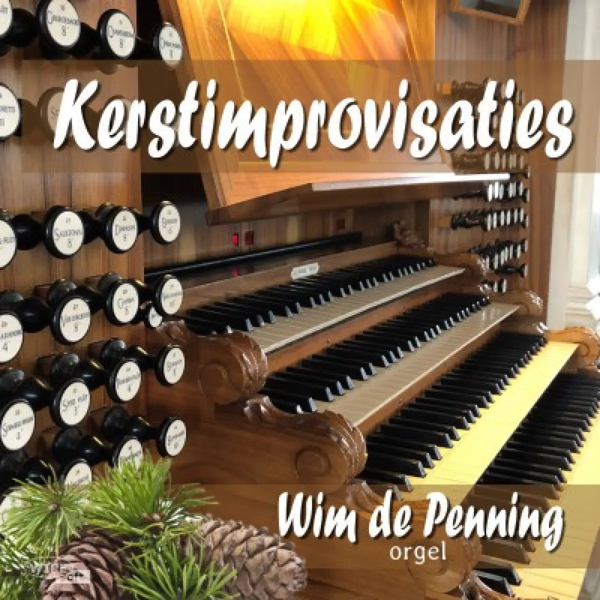 Cover van Een roze fris ontloken - Rotterdam