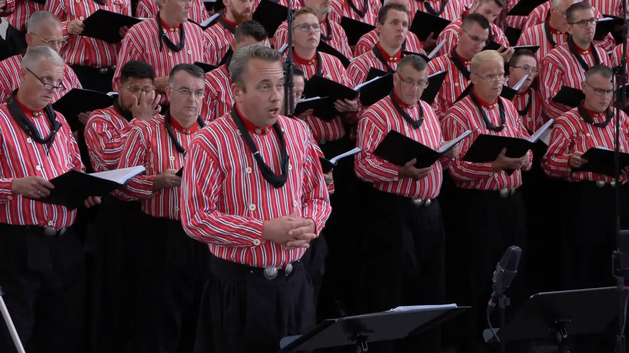 Cover van Ik zal er zijn