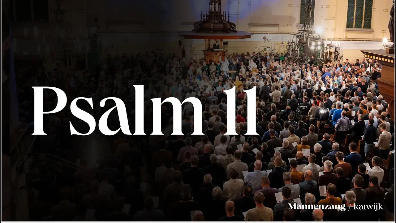 Cover van Psalm 11: 1,3,4 - Live