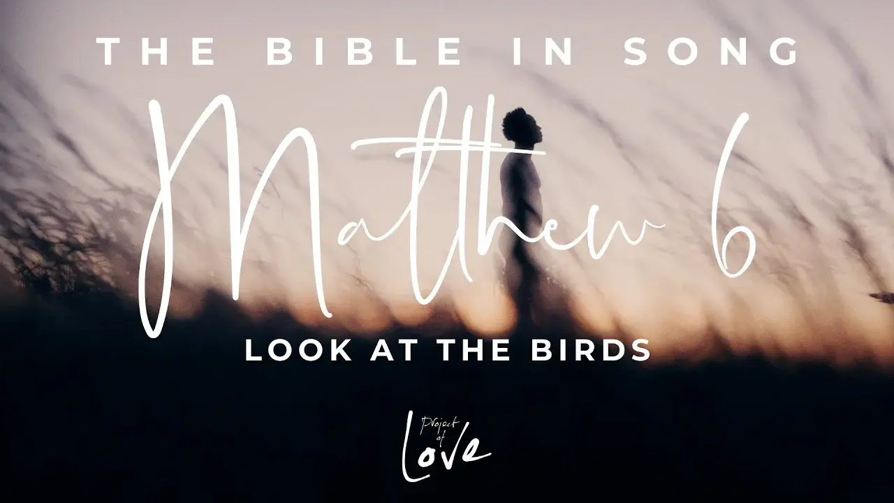 Cover van Matthew 6 - Look At The Birds